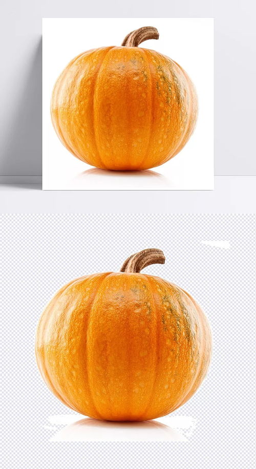 秋日南瓜 田园之美的影像诗